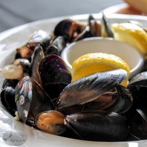 Mussles